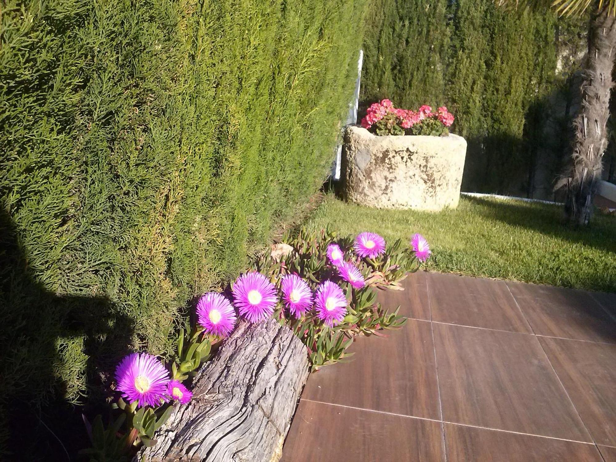 Chalet Airam Monachil Εξωτερικό φωτογραφία